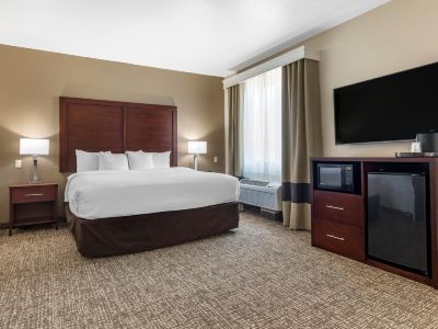 Comfort Suites Plano - Dallas North