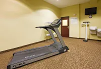 Holiday Inn Express & Suites SNYDER by IHG - Kuntosalit