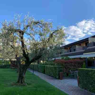 Ulivi Hotel & Residence Hotel Exterior