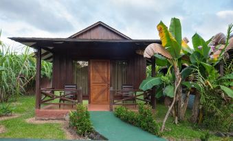 2. Arenal M..