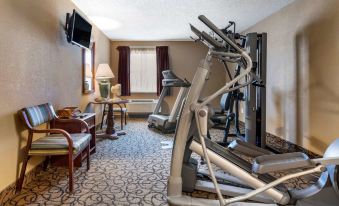 a gym area with various exercise equipment , including treadmills and weight machines , in a room with carpeted floors and windows at Quality Inn & Suites