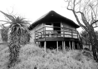 Shayamoya Lodge Hôtels à : UPhongolo