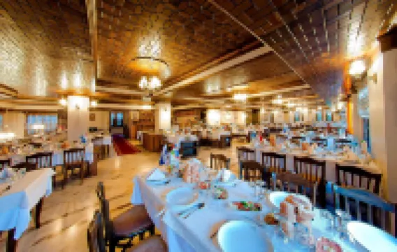 Baglar Saray Hotel - bar