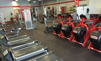 a well - equipped gym with various exercise equipment , including treadmills and weightlifting machines , arranged in rows at Hart House Hotel