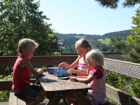 Luxury Villa with Fireplace Near Reservoir in Nordeifel