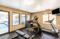 Comfort Inn & Suites North Aurora - Naperville - Gym