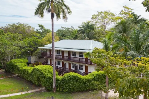 Black Orchid Resort Hotel di Burrell Boom