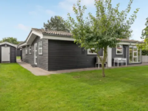 "Gull" - 150m from the Sea