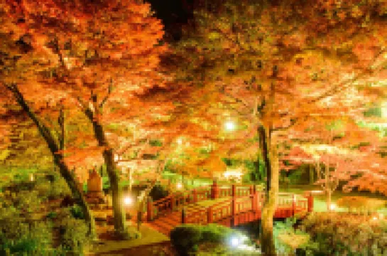 Hotel Zuiyo of Yugawara