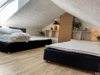 "Roger" - 400m from the Sea