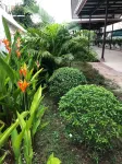 โรงแรมพร้อมสุข อยุธยา - โรงแรมราคาถูก