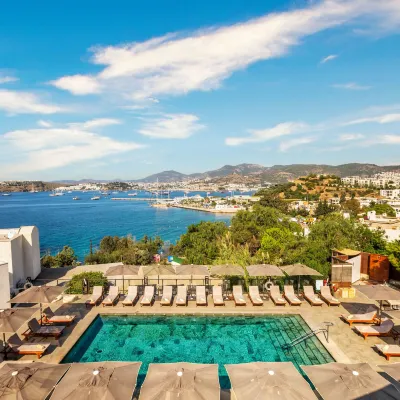 سينسيز هوتل - للبالغين فقط Hotels near وسط مدينة بودروم