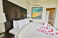Playa Tortuga Hotel and Beach Resort Hotels in 