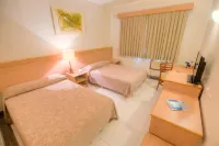 Hotel Dan Inn Uberaba & Convenções by Nacional Inn فنادق في أوبيرابا