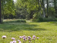 "Irlin" - 600m from the Sea