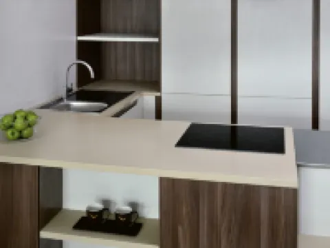 杜拜市中心瑞享酒店公寓