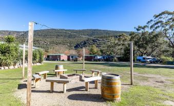a picnic area with a wooden barrel and picnic tables in the foreground , surrounded by green grass and trees at Nrma Halls Gap Holiday Park