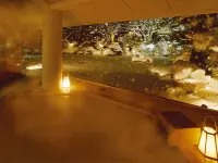 Ryumontei Chiba Ryokan - Hot Springs