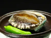 Hotel Shirako Sunrize Otsuka Hotels in Shirako