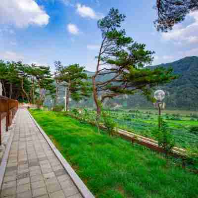 Danyang Namhangangsolbat Pension Hotel Exterior