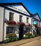 The White Hart Hotel Các khách sạn ở Ivybridge