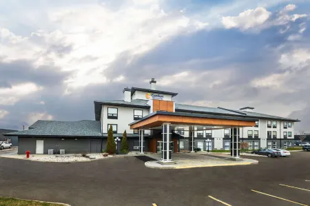 Comfort Inn & Suites Отели в г. Вудсток