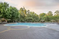 Omni Shoreham Hotel - Rooftop Pools
