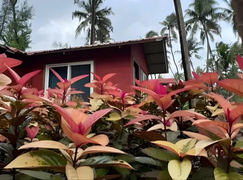 The Steam Resort Hotels in Diveagar