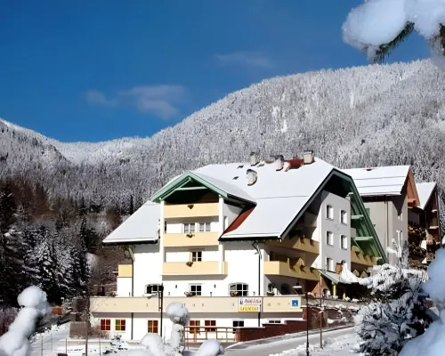Hotel Erica Hotels in Tesero