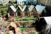 Nhà Sói Homestay Da Lat