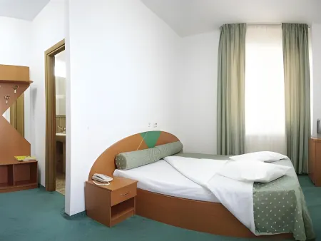 Hotel Sir Colentina Отели в г. Пасеря