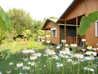 Estelar Bungalow - Pensions