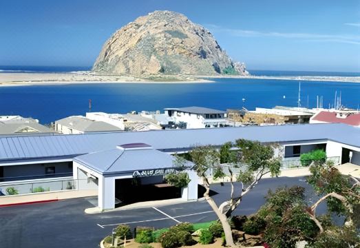 블루 세일 인 이미지