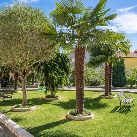 Palms