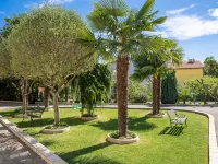 Palms