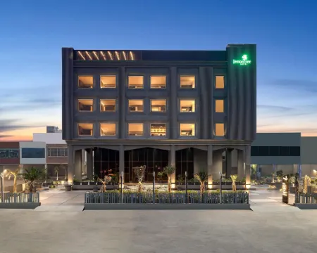 Lemon Tree Hotel, Hisar Hotels in Hisar