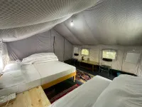 Apple Orchard Farm and Camping Hotels in Kullu