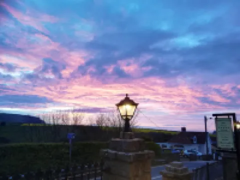 庫克船長旅館 斯泰茲酒店