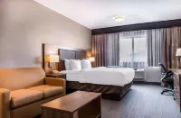 Quality Hotel Dorval Aeroport - Afhentnings-/afleveringstjenester