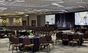 Renaissance St. Louis Airport Hotel