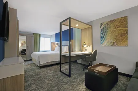 SpringHill Suites Palm Desert Отели в г. Палм-Дезерт