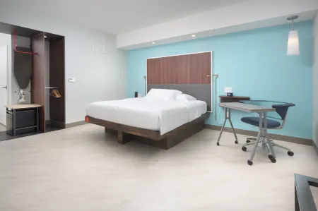 Tru by Hilton McDonough, GA