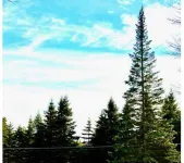 Entire Home N. Conway - Central Location, Saco, Skiing, Shopping