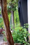 Woodstock Historic Artist Estate - The Museum House Hotel dekat Zena Recreation Park Swim and Tennis Club (Private)