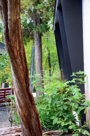 Woodstock Historic Artist Estate - The Museum House