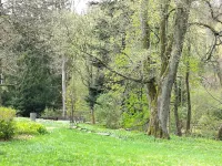 Living on the edge of the "Thuringian Forest" nature reserve in Spindler Villa