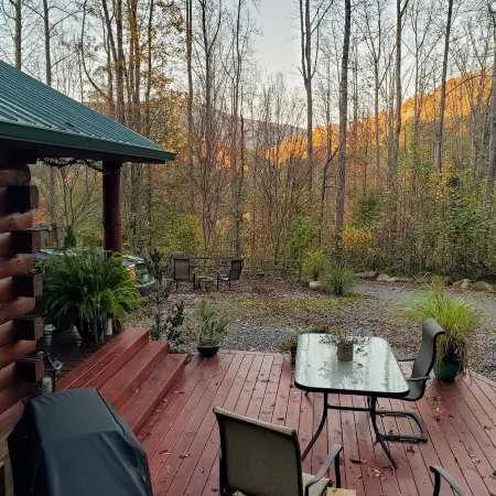 Moonlight Ridge - a wonderful little log cabin on 4 wooded acres Отели в г. Скотт Крик
