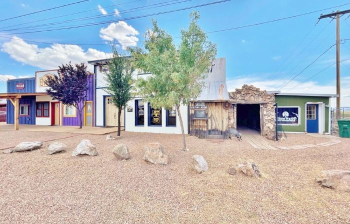 Brand New House Right on Allen St one Block from the Birdcage
