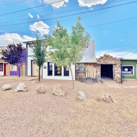 Brand New House Right on Allen St one Block from the Birdcage