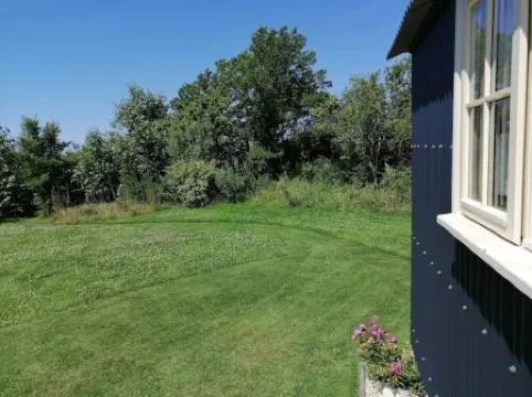 Romantic Apple Tree Shepherd's Hut with optional hot tub and shared EV charger.
